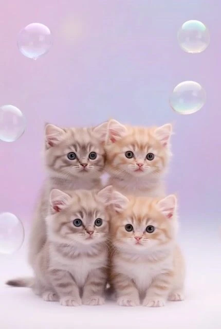 JSON-промпт «BUBBLE CHASE» с милыми котятами