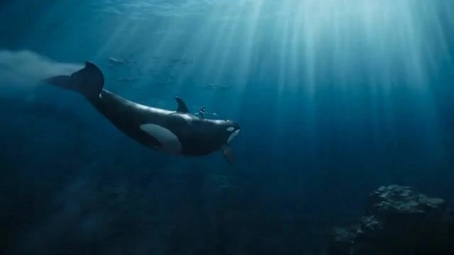 Водный воин верхом на касатке