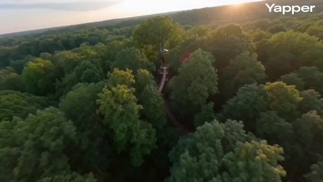 Кинематографический FPV-полёт через древесный дом
