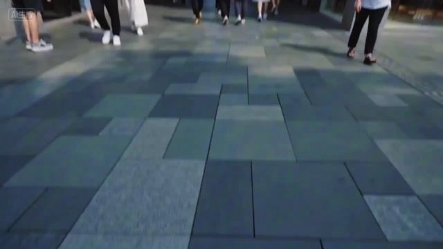 Большая панда на прогулке в Чэнду