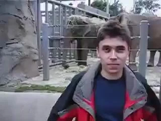 Мужчина и слон в зоопарке в стиле старой камеры