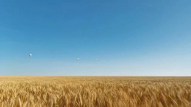 Сюрреалистический sci-fi промпт с мегалофобией и сюжетом-раскрытием