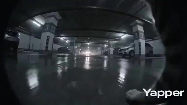 Сверхширокий макро FPV кадр с кошкой