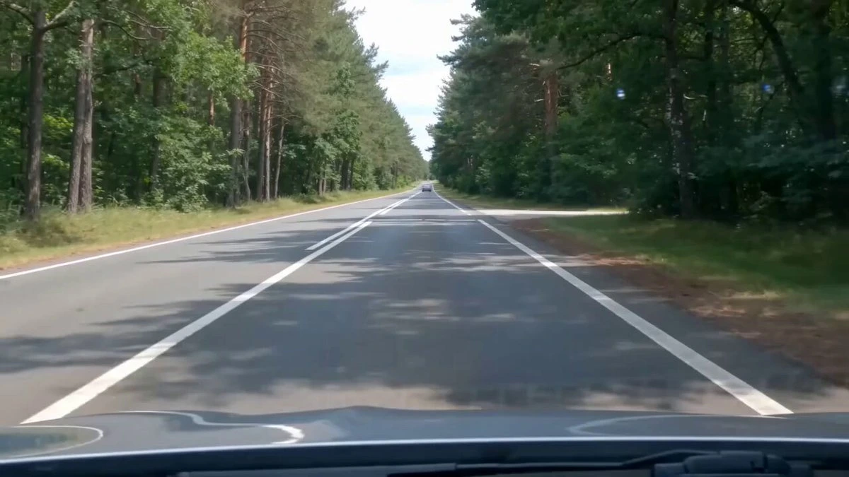 Влог: Собака и кошка на мотоцикле